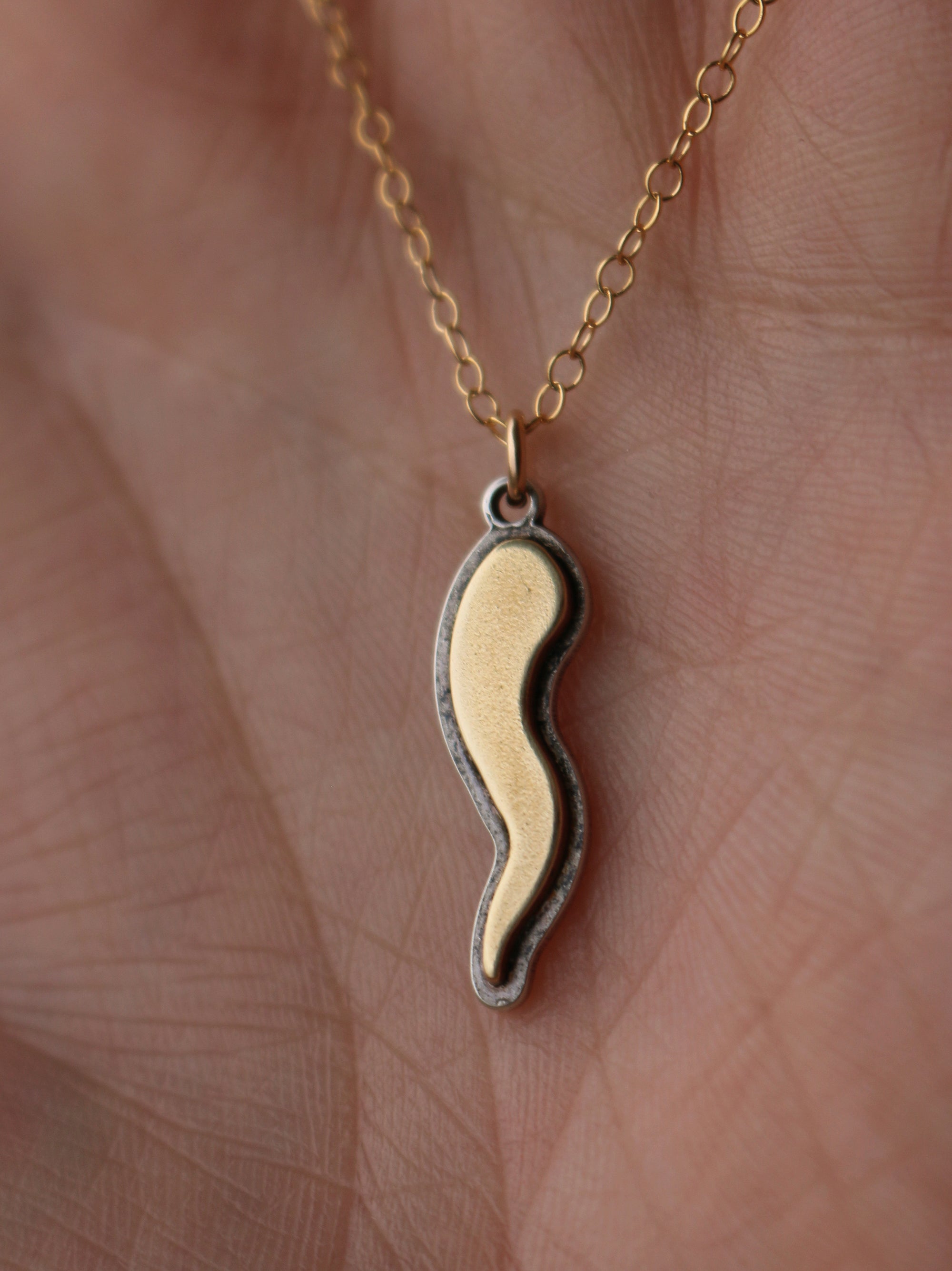 Italian Horn Cornicello Necklace