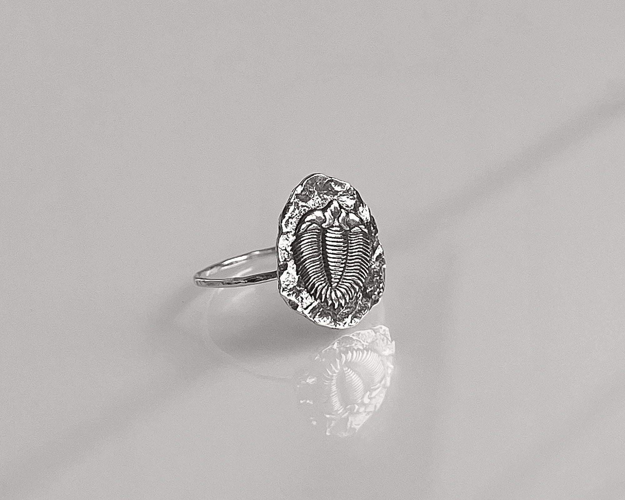 Trilobite Statement Ring | Bold Fossil Prehistoric Jewelry | Large Paleontology Ring for Geology & Science Lovers | Unique Extinct Creature