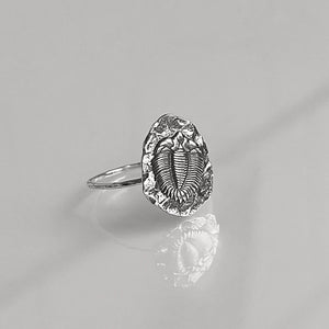Trilobite Statement Ring | Bold Fossil Prehistoric Jewelry | Large Paleontology Ring for Geology & Science Lovers | Unique Extinct Creature